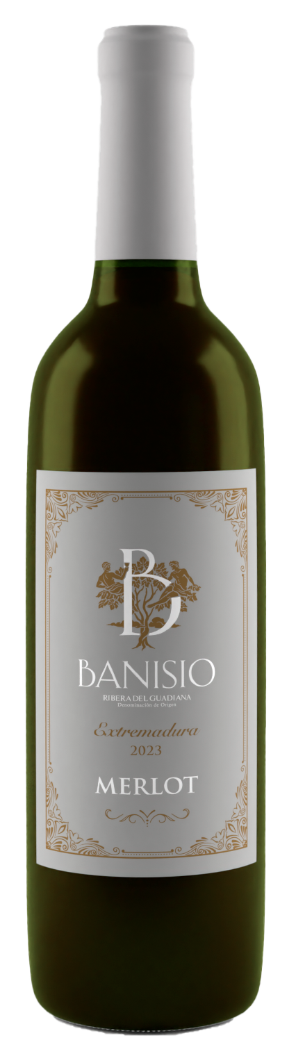 Vino de Ribera del Guadiana - Merlot - Banisio