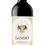 Ribera del Guadiana Wine Red - Tempranillo - Banisio