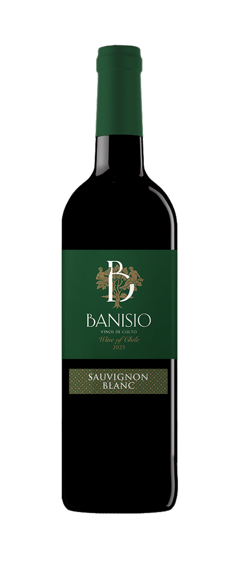 Vino de Chili - Sauvignon Blanc - Banisio