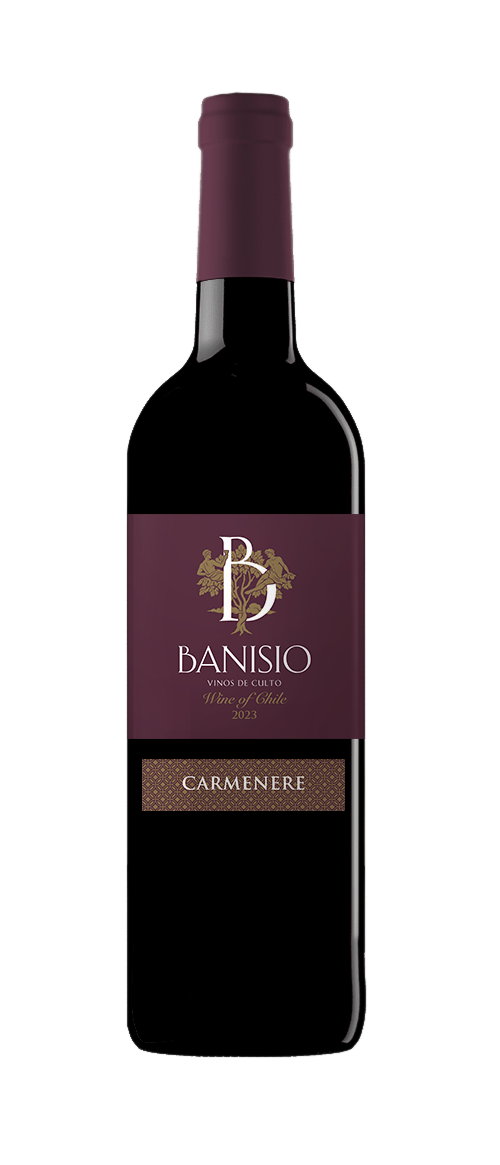 Wine from Chile – Carmenere – Banisio