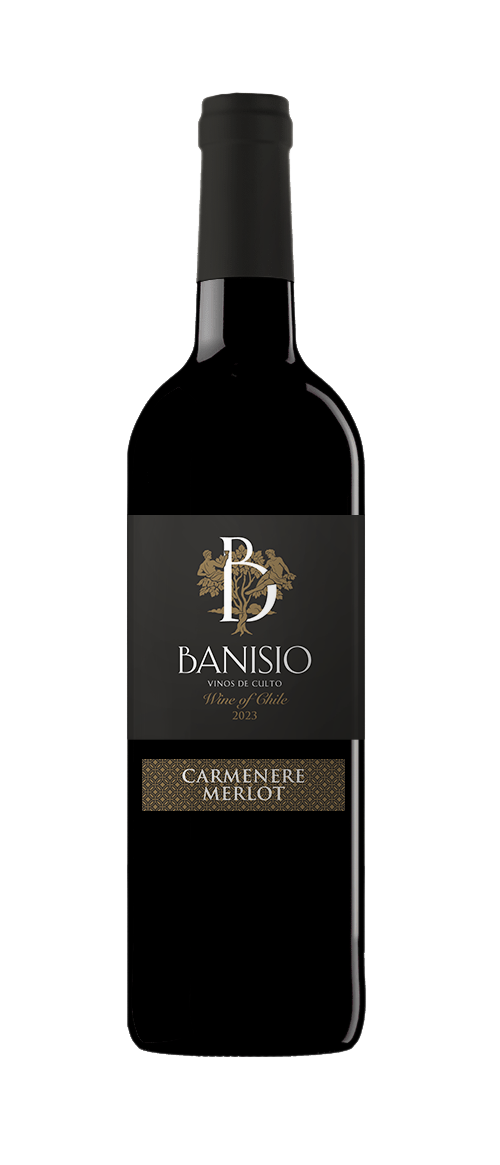 Wine from Chile, Carmenere Merlot - Banisio