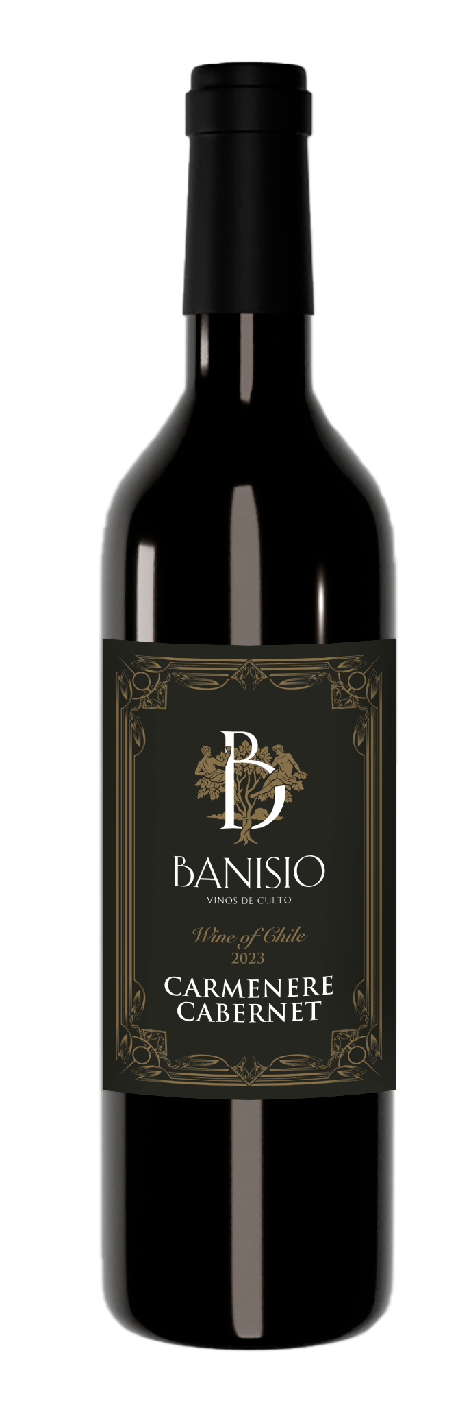 Wine from Chile, Carmenere Cabernet - Banisio