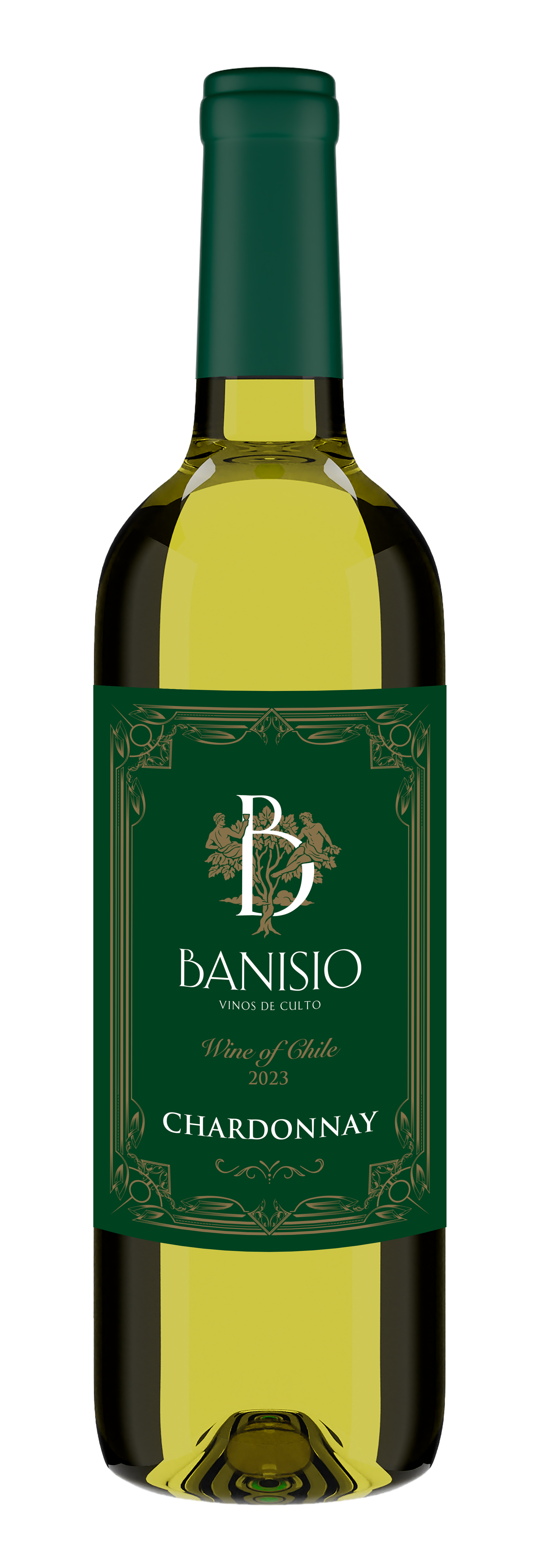 Wine from Chile – Chardonnay – Banisio.