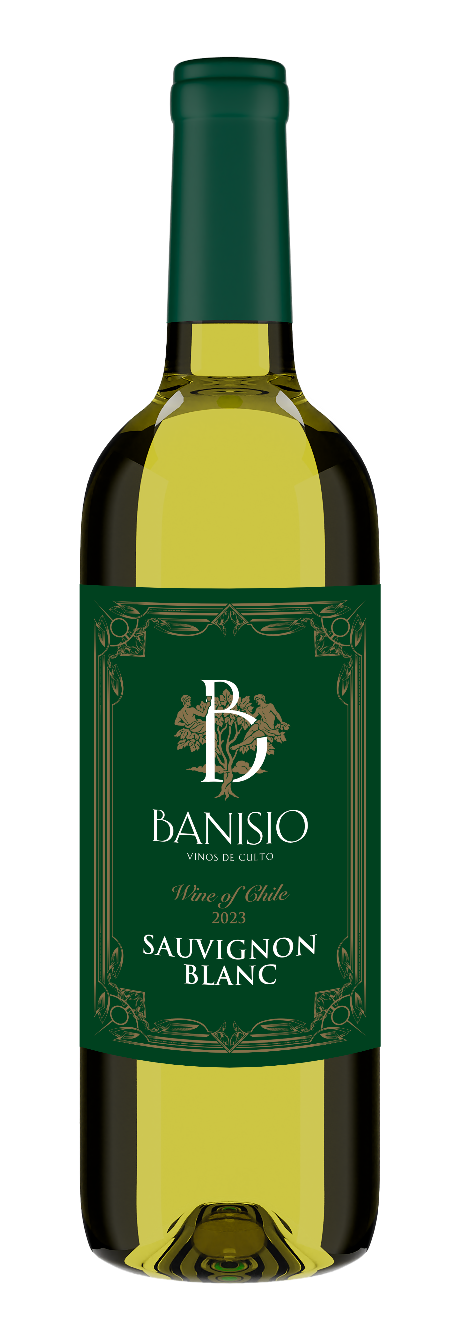 Vino de Chile – Sauvignon Blanc – Banisio