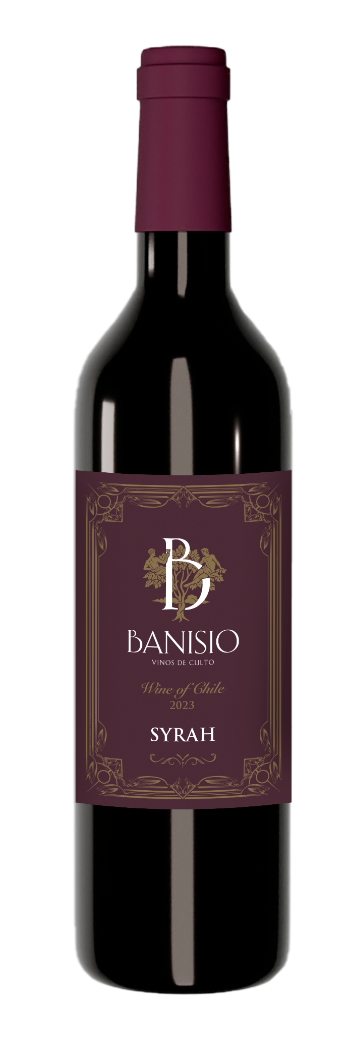 Wine from Chile, Syrah - Banisio
